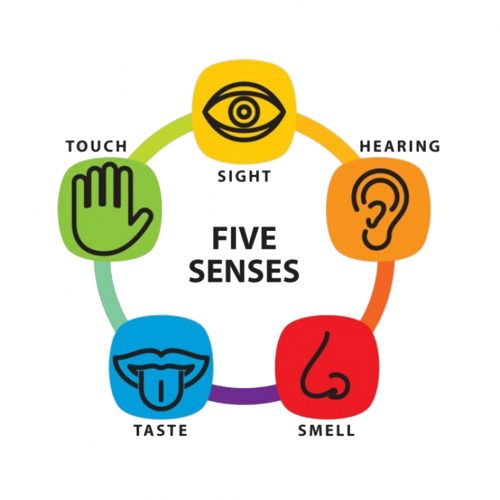 dementia communication 5 senses